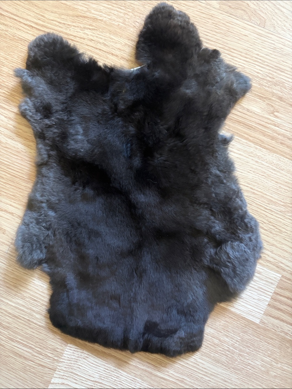 B0078 Rex  rabbit hide